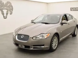 Silber Gebraucht 2008 Jaguar XF Luxury Limousine | CHF 9’900 (Fairer Preis)