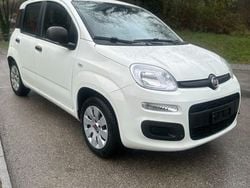 Gebraucht 2019 Fiat Panda Kleinwagen | CHF 9’950
