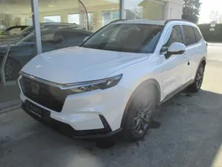 Weiss Neu 2024 Honda CR-V Advance SUV | CHF 56’970 (Etwas zu teuer)