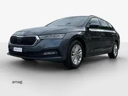 Quartz grau, metallic Gebraucht 2021 Skoda Octavia Ambition Kombi | CHF 23’890 (Fairer Preis)