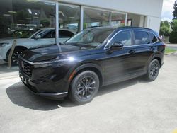 Gebraucht 2025 Honda CR-V Advance SUV | CHF 53’900 (Etwas zu teuer)