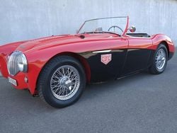 Gebraucht 1954 Austin Healey 100 Cabrio | CHF 76’800