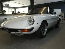 Gebraucht 1982 Alfa Romeo Spider Veloce Cabrio | CHF 29’900