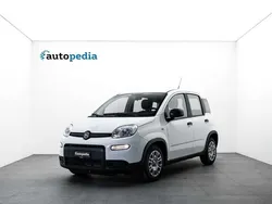 Neu 2024 Fiat Panda Kleinwagen | CHF 12’950 (Guter Preis)