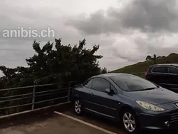 Gebraucht 2009 Peugeot 307 | CHF 3’500 (Fairer Preis)
