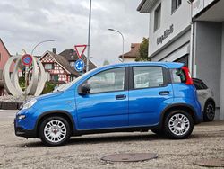 Gebraucht 2024 Fiat Panda 4x4 Kleinwagen | CHF 14’500