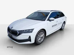 Moon weiss metallic Gebraucht 2024 Skoda Octavia Selection Kombi | CHF 43’290 (Teuer)