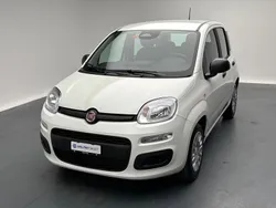 Weiss Neu 2025 Fiat Panda City Life Kleinwagen | CHF 16’220 (Fairer Preis)