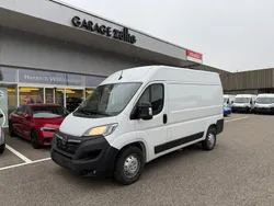 Neu 2025 Opel Movano Van | CHF 34’898 (Superpreis)