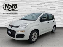 Gebraucht 2019 Fiat Panda Easy Kleinwagen | CHF 9’900 (Etwas zu teuer)
