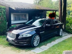 Gebraucht 2011 Jaguar XJ Luxury Limousine | CHF 13’500