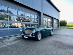 Gebraucht 1955 Austin Healey 100 Cabrio | CHF 62’500