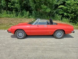 Gebraucht 1982 Alfa Romeo Spider Veloce Cabrio | CHF 27’800