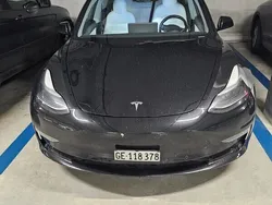 Gebraucht 2020 Tesla Model 3 Performance Limousine | CHF 21’400 (Superpreis)
