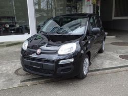 Gebraucht 2022 Fiat Panda Kleinwagen | CHF 9’990 (Guter Preis)