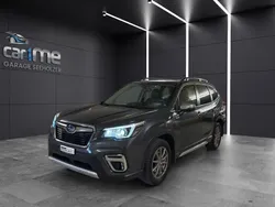 Gebraucht 2019 Subaru Forester SUV | CHF 22’900 (Guter Preis)