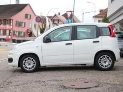 Weiss Gebraucht 2022 Fiat Panda Kleinwagen | CHF 13’500 (Fairer Preis)