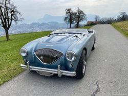 Gebraucht 1955 Austin Healey 100 Cabrio | CHF 89’500