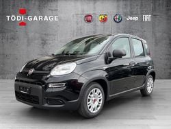 Gebraucht 2024 Fiat Panda Kleinwagen | CHF 13’900 (Fairer Preis)