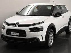 Weiss Gebraucht 2020 Citroën C4 Cactus Feel Kleinwagen | CHF 13’900 (Guter Preis)