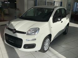 Neu 2025 Fiat Panda City Life Kleinwagen | CHF 13’900 (Superpreis)
