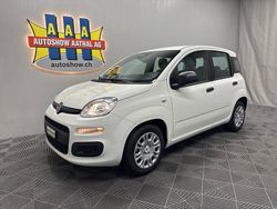 Neu 2025 Fiat Panda City Life | CHF 13’700 (Superpreis)
