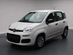 Weiss Neu 2025 Fiat Panda City Life Kleinwagen | CHF 17’300 (Fairer Preis)