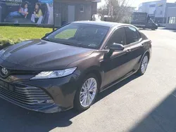 Gebraucht 2020 Toyota Camry Premium | CHF 25’900 (Fairer Preis)