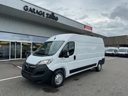 Neu 2024 Opel Movano Van | CHF 39’797 (Superpreis)