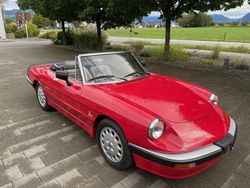 Gebraucht 1987 Alfa Romeo Spider Cabrio | CHF 19’900
