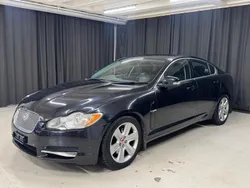 Gebraucht 2008 Jaguar XF Luxury Limousine | CHF 2’200 (Fairer Preis)