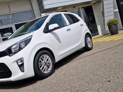 Weiss Gebraucht 2020 Kia Picanto First Edition Kleinwagen | CHF 11’850 (Fairer Preis)