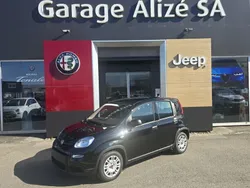 Neu 2025 Fiat Panda Kleinwagen | CHF 15’900 (Guter Preis)
