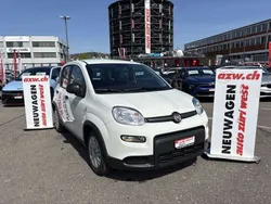 Neu 2024 Fiat Panda Kleinwagen | CHF 12’950 (Guter Preis)