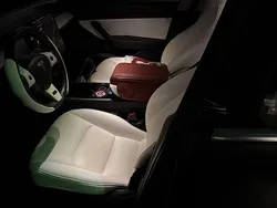 Gebraucht 2020 Tesla Model 3 Performance Limousine | CHF 25’700 (Teuer)