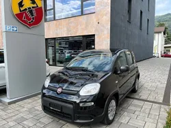 Neu 2024 Fiat Panda Kleinwagen | CHF 14’500 (Guter Preis)
