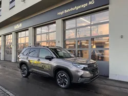 Beige Neu 2024 Subaru Forester SUV | CHF 47’421 (Etwas zu teuer)