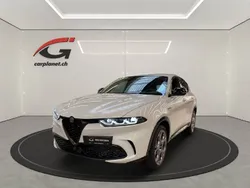 Weiss Gebraucht 2023 Alfa Romeo Tonale Premium SUV | CHF 41’990 (Superpreis)