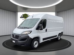 Weiss Gebraucht 2022 Fiat Ducato Van | CHF 44’800