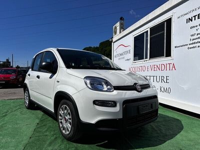 Gebraucht Fiat Panda City Life 70 PS (51 kW) 2024 Kleinwagen
