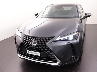 Grau Gebraucht 2024 Lexus UX 250h SUV | CHF 43’880 (Etwas zu teuer)