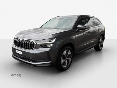 Gebraucht Skoda Kodiaq SE 193 PS (141 kW) 2024 Graphite grau, metallic SUV