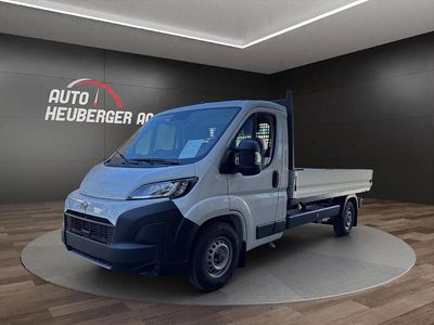 Neu Toyota Proace Active 140 PS (102 kW) 2026 Van / Kleinbus