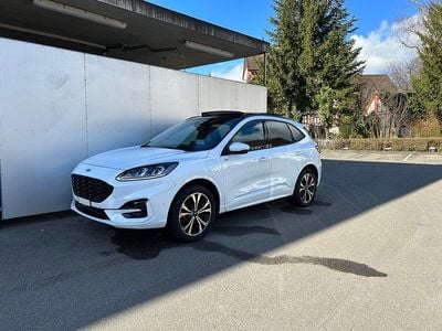 Weiss Gebraucht 2024 Ford Kuga ST-Line X SUV | CHF 33’990 (Etwas zu teuer)