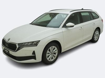 Weiss Neu 2025 Skoda Octavia Loft Kombi | CHF 35’990 (Guter Preis)