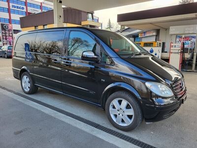 Mercedes Viano