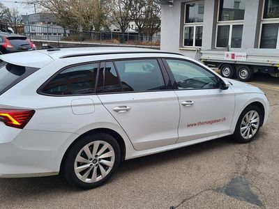 Gebraucht 2025 Skoda Octavia Selection Kombi | CHF 29’900 (Teuer)