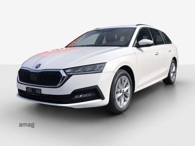 gebraucht Skoda Octavia Ambition mHEV