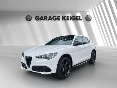 Neu Alfa Romeo Stelvio Veloce 280 PS (205 kW) 2025 Weiss SUV