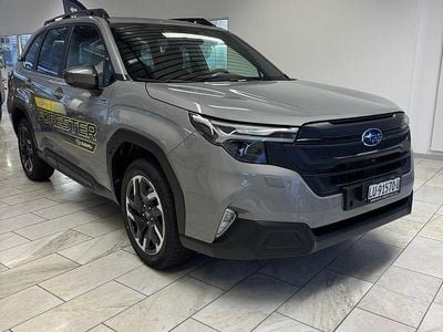Grau Gebraucht 2024 Subaru Forester SUV | CHF 40’900 (Guter Preis)